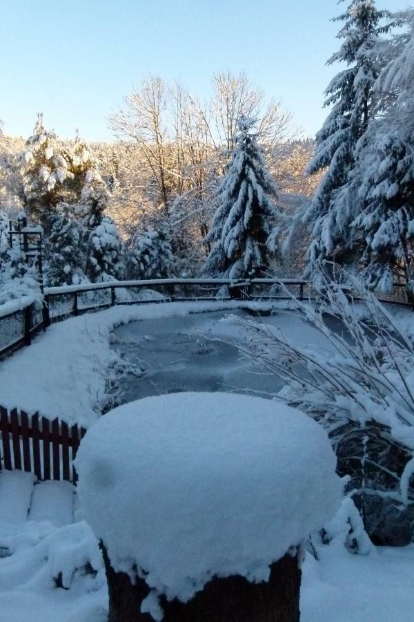 Agroturystyka U Psotki Kuzmina Exterior foto